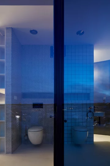 Penthouse z ogrodem na dachu, projekt Petr Janda Linka, Petr Janda