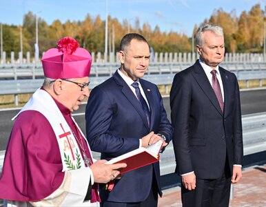 Miniatura: Prezydenci Polski i Litwy otworzyli...