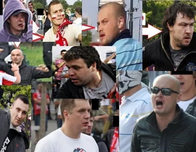 Miniatura: Majewski: Polska policja nie odróżnia...