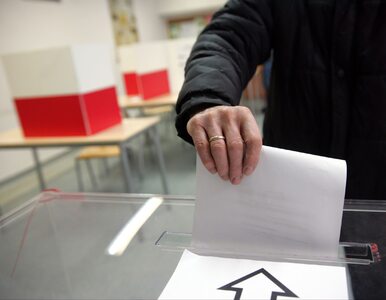 Miniatura: Wybory uzupełniające w Bogatyni wygrał...