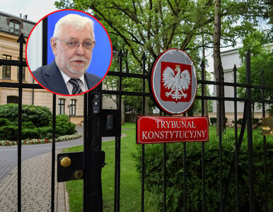 Miniatura: Szykuje się przewrót w TK? „Święczkowski...