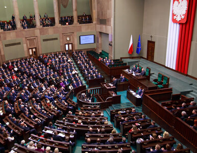 Miniatura: Ustawa o prohibicji w Polsce dzieli...