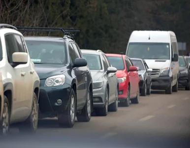 Miniatura: Potężne kłopoty z polską pomocą...