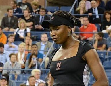 Miniatura: Venus Williams w Auckland nie zagra