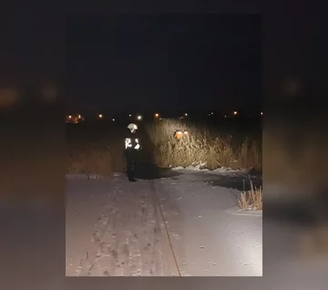 Do zdarzenia doszło w miejscowości Brwilno w gminie Nowy Duninów 