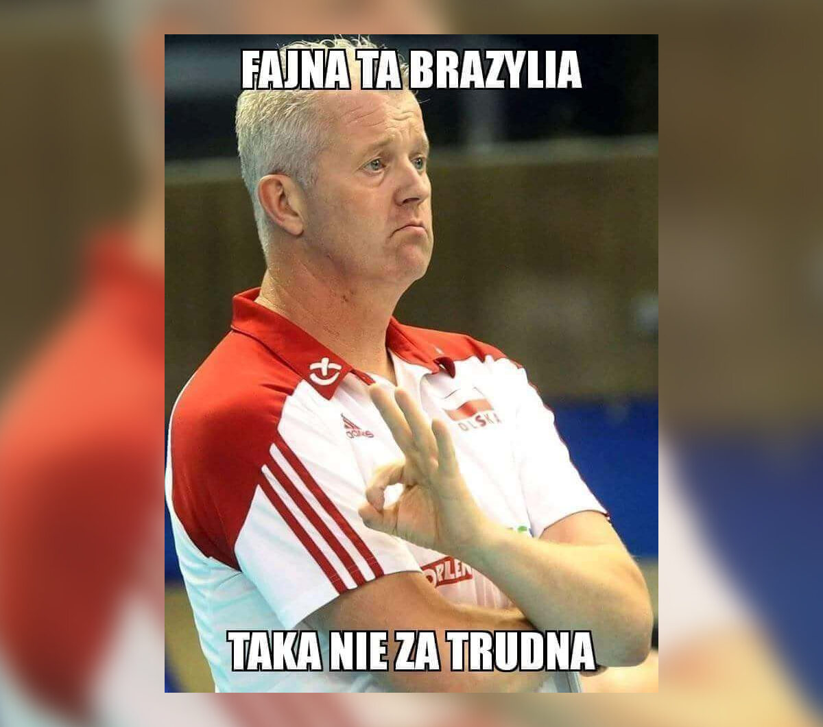 Mem po meczu Polska-Brazylia 