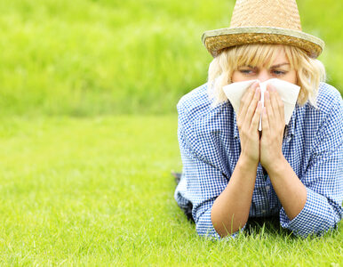 Miniatura: Wiosna - koszmar alergików