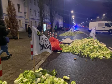 Protest Agrounii w Warszawie 