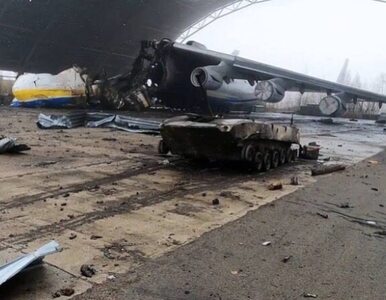 Miniatura: An-225 Mrija, jeden z symboli Ukrainy,...
