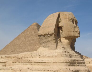 Miniatura: Niezwykłe odkrycie w Egipcie. Znaleziono...