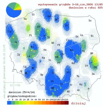 Mapa grzyb&oacute;w
