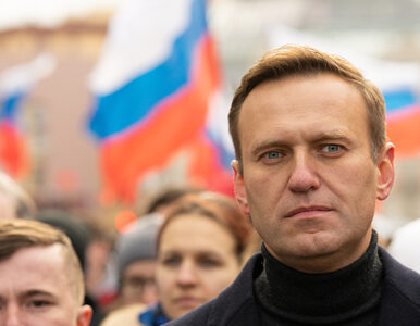 Miniatura: Nawalny został umieszczony w karcerze....
