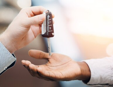 Miniatura: Tej branży w Polsce nie wiedzie się tak...