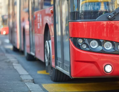 Miniatura: Bilety za złotówkę na podróże po Polsce....