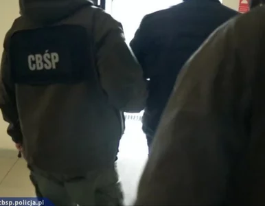 Miniatura: CBŚP rozbiło grupę przestępczą, kryjącą...