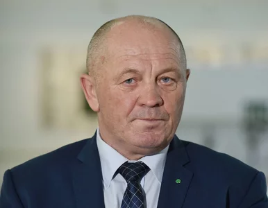 Miniatura: Sawicki: Trzeba oddelegować kogoś z rządu...