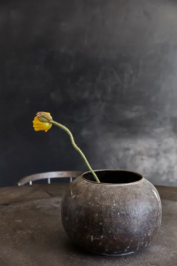 Skandynawski... glamour Dinesen, glamour