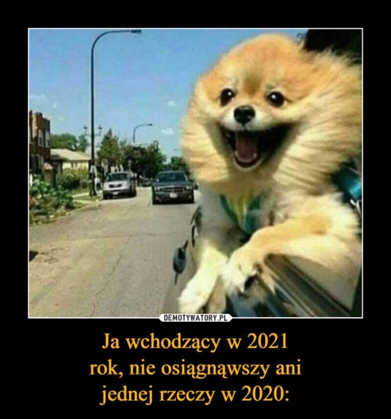 Mem z okazji Nowego Roku 