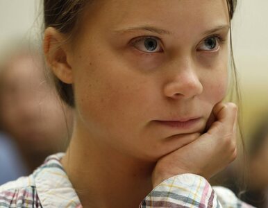 Miniatura: „To Greta Thunberg jest winna niechęci...