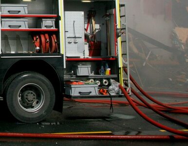 Miniatura: Wrocław: pożar busa na obwodnicy