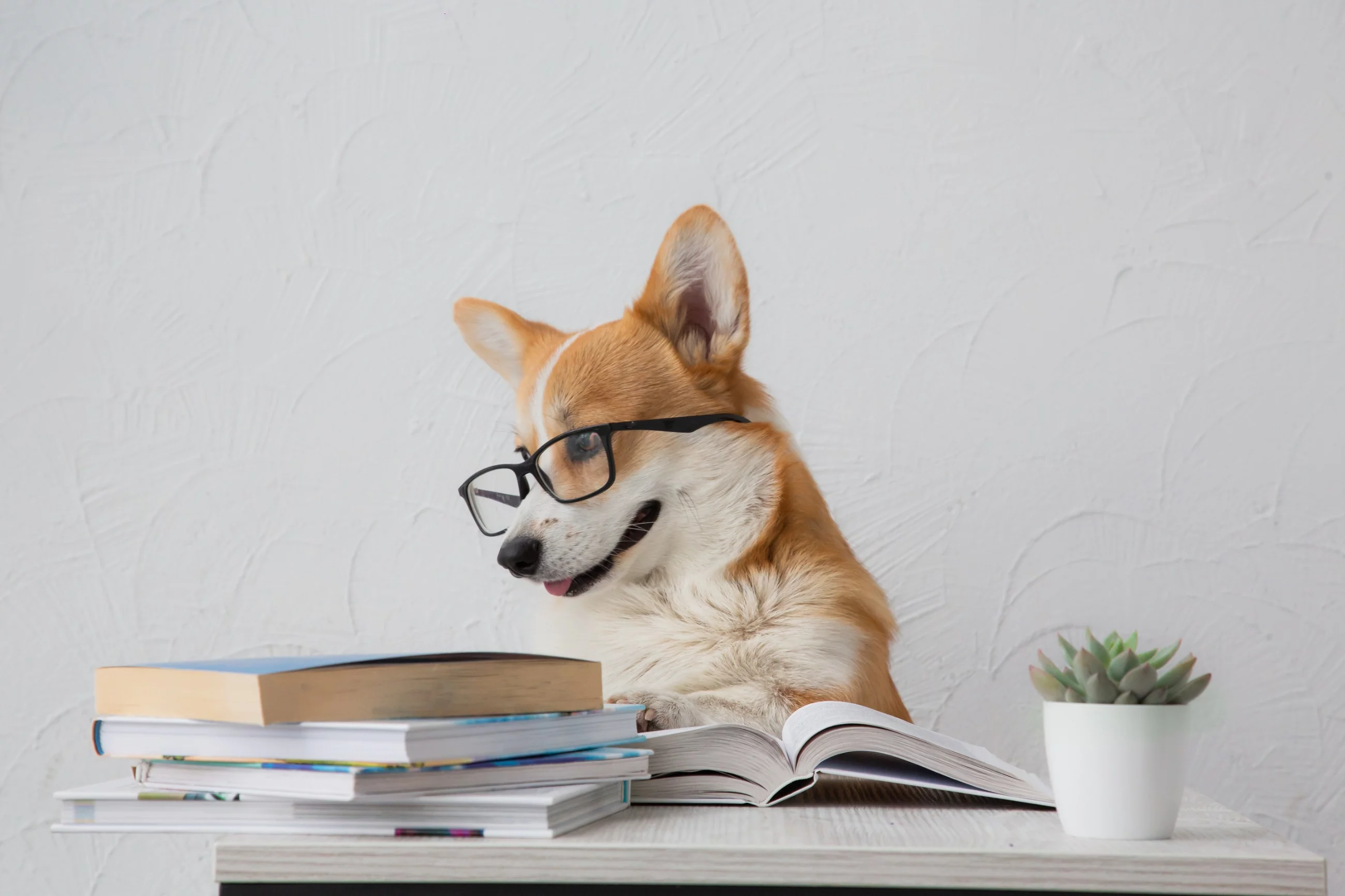 QUIZ wyłącznie dla omnibusów. W co trzecim pytaniu czają się pułapki!