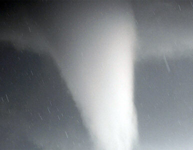 Miniatura: Tornado zabiło przynajmniej 16 osób