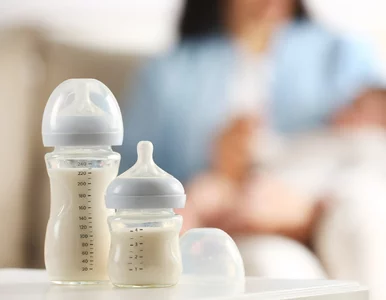 Miniatura: Szkodliwe bakterie w mleku dla niemowląt....