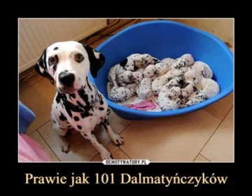 Mem z okazji Dnia Psa 