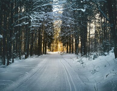 Miniatura: Prognoza na Święta Bożego Narodzenia....