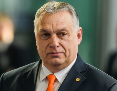 Miniatura: Orban nie zgadza się na unijną pożyczkę...