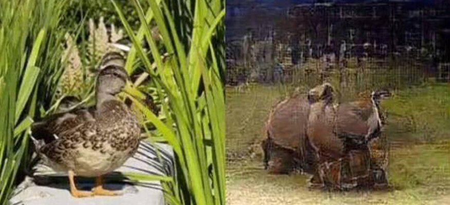 Miniatura: Sztuczna inteligencja może czytać w...