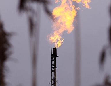Miniatura: Rosja woli spalić gaz za 10 mln dolarów...