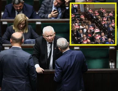 Miniatura: W Sejmie wrze po słowach Jarosława...