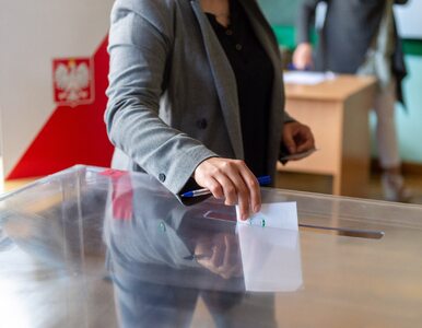 Miniatura: Drogowskaz wyborczy. Rozwiąż test i...