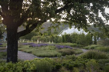 Naturalistyczny ogród Pieta Oudolfa na Vitra Campus w Weil am Rhein – przykład harmonii między dzikością a precyzyjnym projektowaniem 