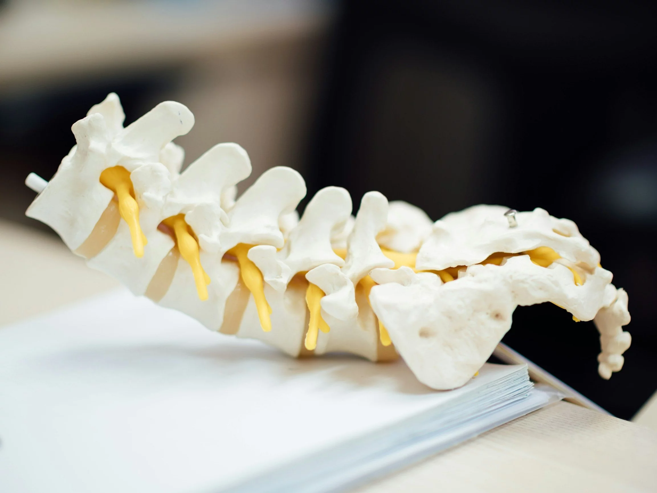 Błyskawiczny test z anatomii. Ile punktów zdobędziesz?