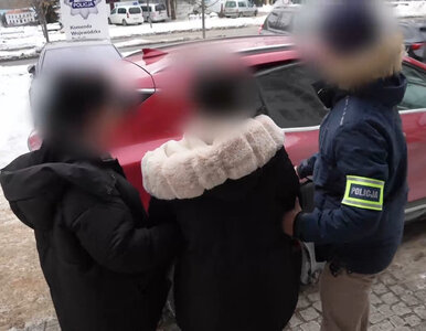 Miniatura: Wyłudziły co najmniej 2 mln zł dotacji. 3...