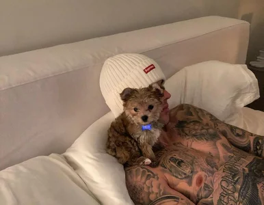 Miniatura: Justin Bieber założył swojemu psu... konto...