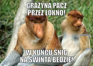 Świąteteczne memy 