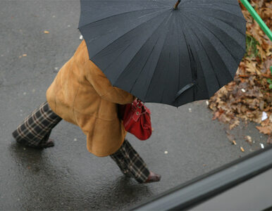Miniatura: Prognoza pogody: przyda się sweter i parasol