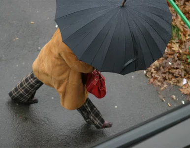 Miniatura: Prognoza pogody: przyda się sweter i parasol