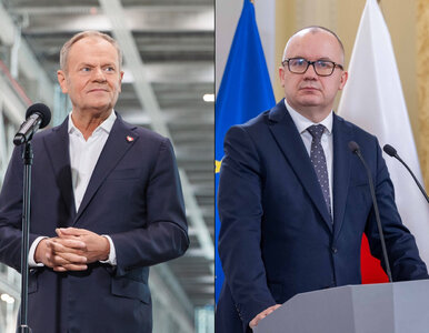 Miniatura: Tusk chce zespołu do zbadania...