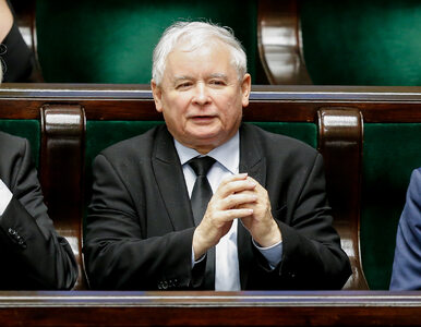 Miniatura: Polityk PiS: Kaczyński świetnie wypada w...