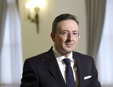 Miniatura: Sienkiewicz: Afera? Natychmiast woła się o...