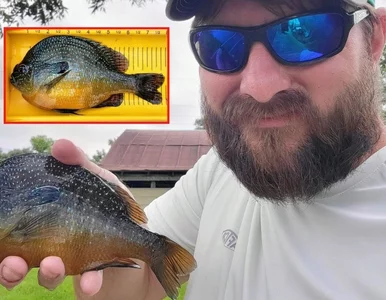 Miniatura: Cztery lata temu przypadkiem pobił...