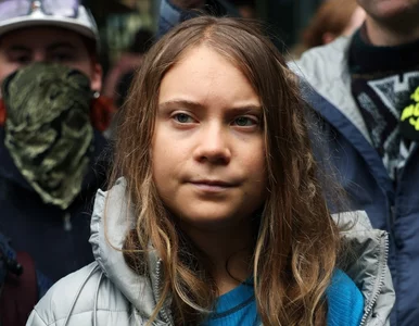 Miniatura: Aktywiści zablokowali wejście do...