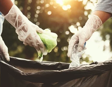 Miniatura: Od stycznia 2025 r. nowy kontener na...