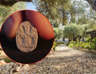 Miniatura: 3-latka podniosła „piękny kamień”....