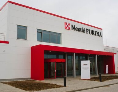 Miniatura: Nestlé otwiera pierwszą w Polsce fabrykę...
