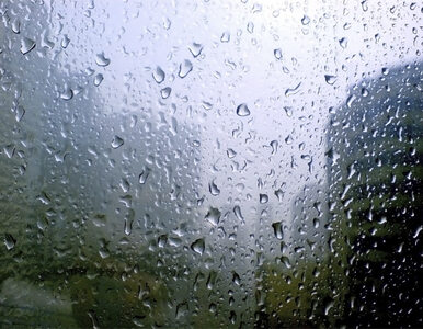 Miniatura: Deszczowy poniedziałek. Po południu zagrzmi